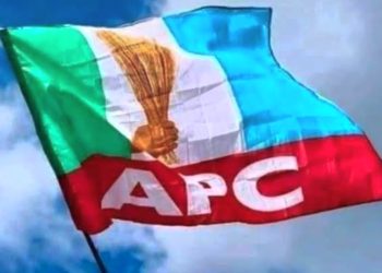 APC zones National Assembly  positions