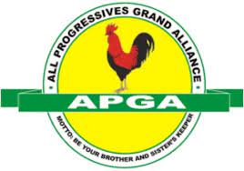 38-year-old Ezeokenwa emerges as APGA national chairman