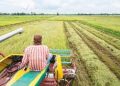 South Korea to help Africa cut dependence on rice imports