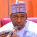 Zulum provides 80 vehicles to ease transportation headaches in Borno