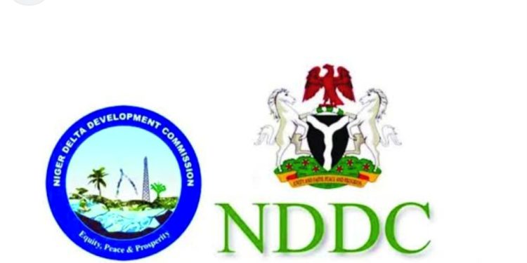Tinubu names new managers, board for NDDC