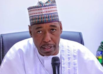 Governor Babagana Zulum