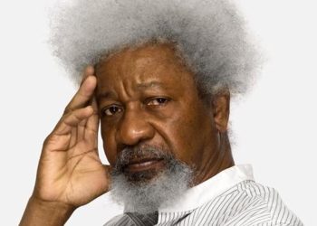 Soyinka dares a probe of his academic laurels
