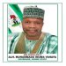 Gombe governor