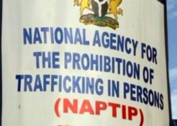 NAPTIP urges community leaders to report SGBV