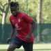 UCL: AC Milan coach praises Chukwueze