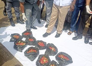 Customs intercept live ammunition concealed in bags of rice in Ogun State