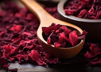 Unlocking the secrets of Hibiscus ‘Zobo’ flower