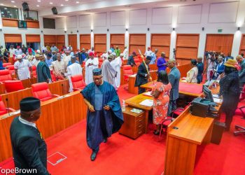 Floor of the Nigerian Senate