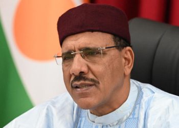 Nigeria vows unyielding efforts for release of Niger’s deposed President