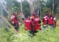 NDLEA