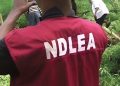 NDLEA