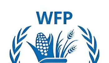 UN’s WFP temporarily suspends food assistance in parts of Sudan