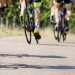 WHO reports a surge in the proportion of cyclists killed in road traffic accidents