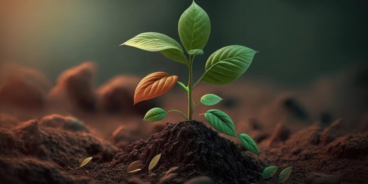 Over N150 million lost to land grabbing —FECA