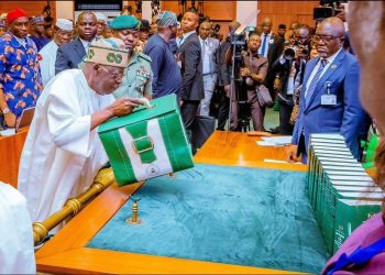 tinubu budget