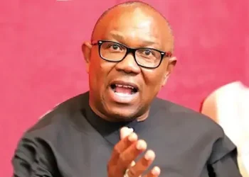 2023 Presidential election: Peter Obi reflects on lessons and critical factors