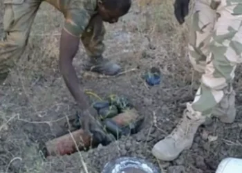 12 die from landmine blast in Borno State