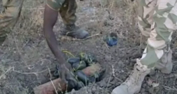 12 die from landmine blast in Borno State