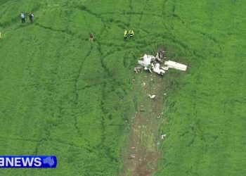 Teenage pilot dies following plane crash in Sydney