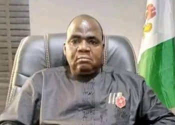 Benue LG chairman rescued, narrates harrowing experience