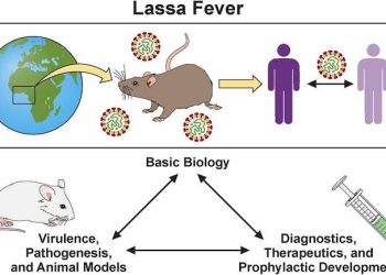 Cross River Govt announces Lassa fever outbreak, begins contact tracing, line listing