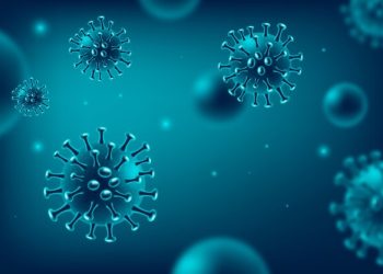 Data shows increased transmission of COVID-19 in December — WHO