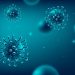 Data shows increased transmission of COVID-19 in December — WHO