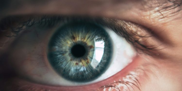 Kaduna Govt. offers free eye care surgeries to 3600 beneficiaries