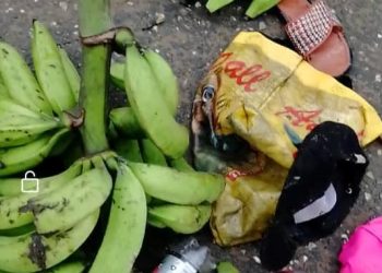 Hunger! Mother of nine hacks woman to death over stolen bunch of plantain