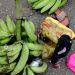 Hunger! Mother of nine hacks woman to death over stolen bunch of plantain