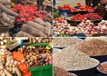 Customs begin distribution of seized food items today, warns against resale