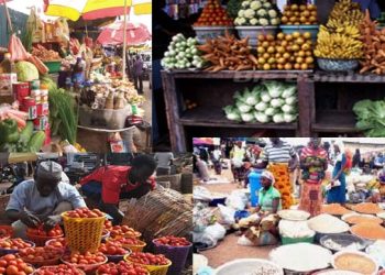 Prioritise investment in agriculture, US urges Nigeria amid food crisis
