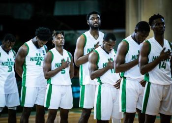 Nigeria's D'Tigers