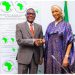 Musawa releases $617 million IDICE fund in partnership with AFDB