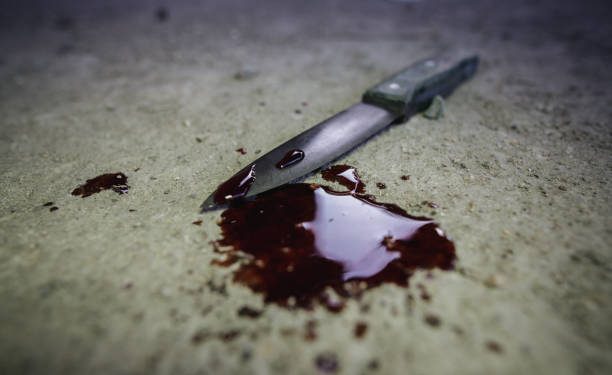 Police confirm death of lovers in Lagos apartment