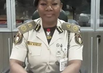 Tinubu appoints new boss for Nigeria Immigration Service