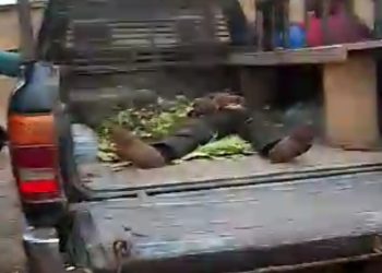 Security team foils kidnap bid, kills one bandit in Kwara State
