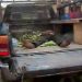Security team foils kidnap bid, kills one bandit in Kwara State