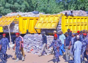 Over 70,000 families receive food items worth N225m from Zulum