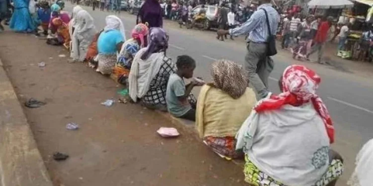 ‘We are dying of hunger’ – Kogi beggars cry out