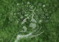 UN recognizes two African initiatives on the environment