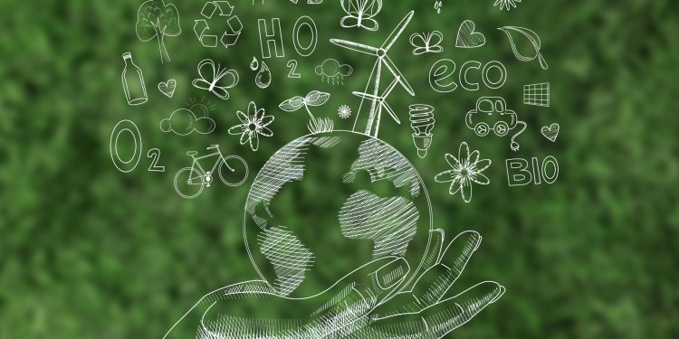 UN recognizes two African initiatives on the environment