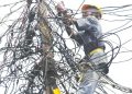Electricity Distribution official at work