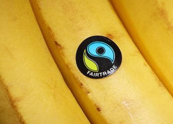 Nigeria’s food production set to soar a 48% surge in 2024