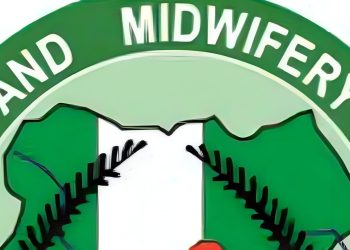 Nursing and Midwifery Council of Nigeria, NMCN.