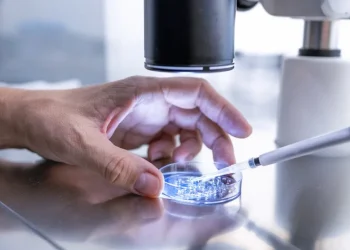 US halts IVF services after court ruling