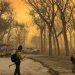 Texas battles second-biggest wildfire in state history