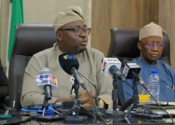 Minister of Power summons AEDC, IBEDC, TCN over unstable electricity supply