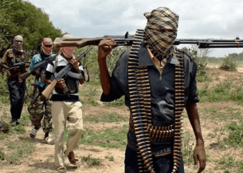 Again, Boko Haram invade IDP camp, destroys 25 new buildings